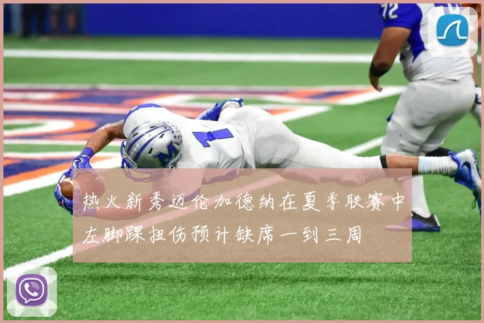 热火新秀迈伦加德纳在夏季联赛中左脚踝扭伤预计缺席一到三周
