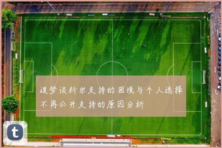 追梦谈科尔支持的困境与个人选择不再公开支持的原因分析
